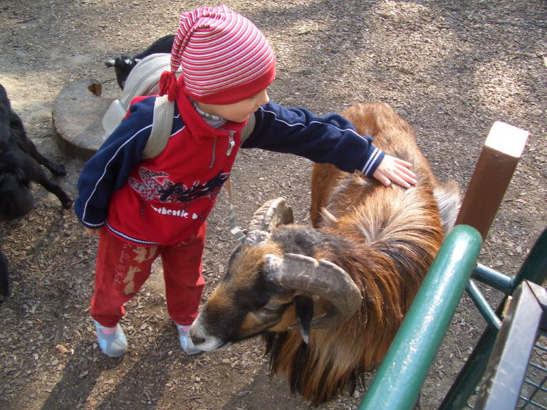 Alička s kozičkou v ZOO